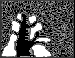 [WIS LOGO]
